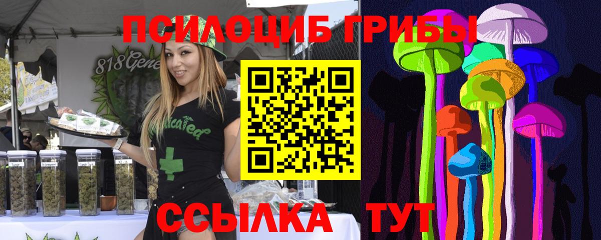 Псилоцибиновые грибы Psilocybine cubensis  Вход с VPN  Кинель 